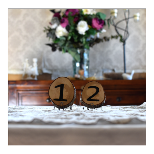 Silver Birch Table Number Signs Small Round